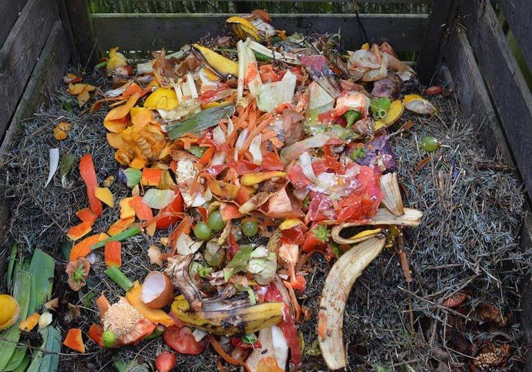 Garbage Disposal Versus Compost Bin. What Is The Difference?